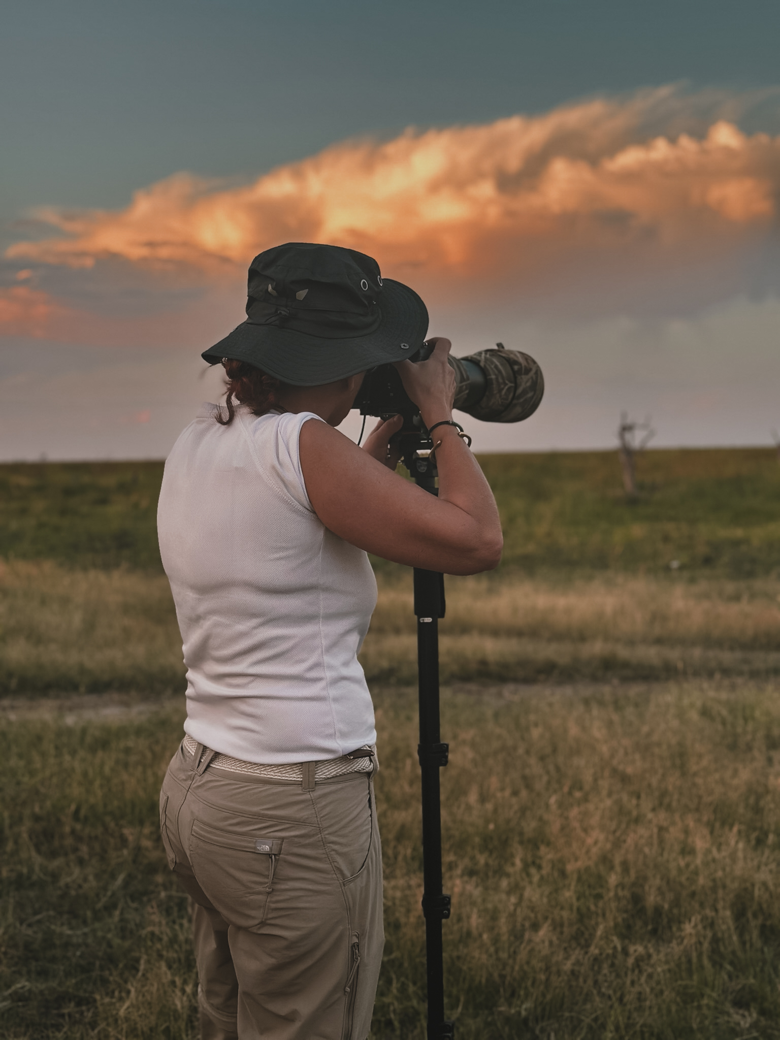 Safari Fotográfico: Qué es y Características principales