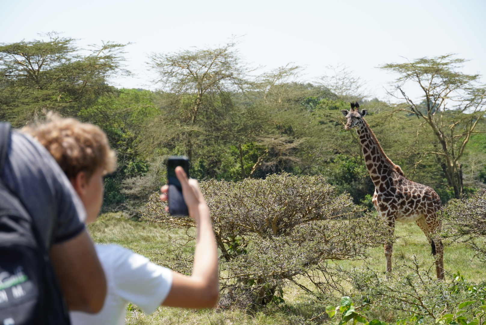 Safari a Pie en el Parque Nacional de Arusha, uno de los imperdibles de Tanzania