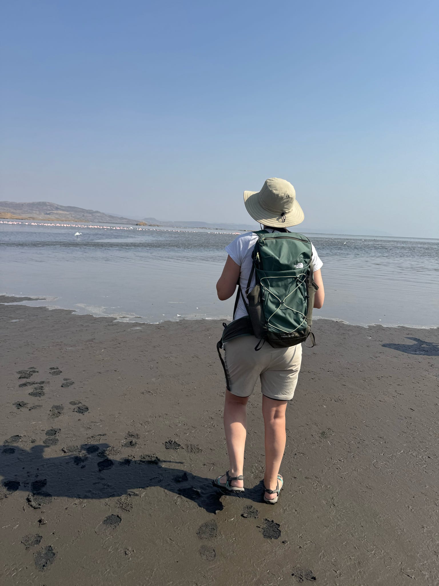 Hiker with backpack and sun hat watching flamingos along a volcanic lake shore