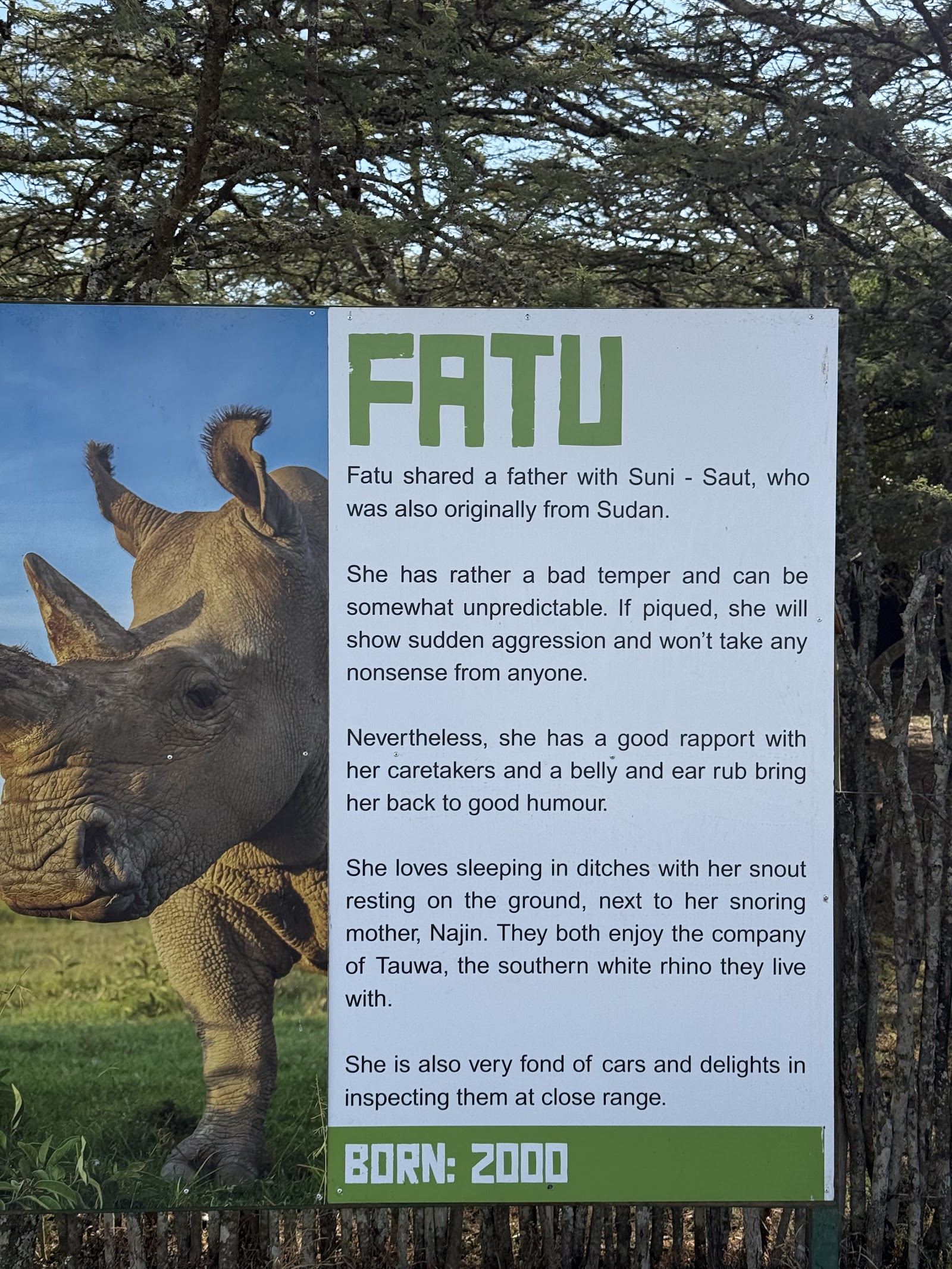 Cartell informatiu sobre Fatu, femella de rinoceront blanc del nord nascuda l'any 2000