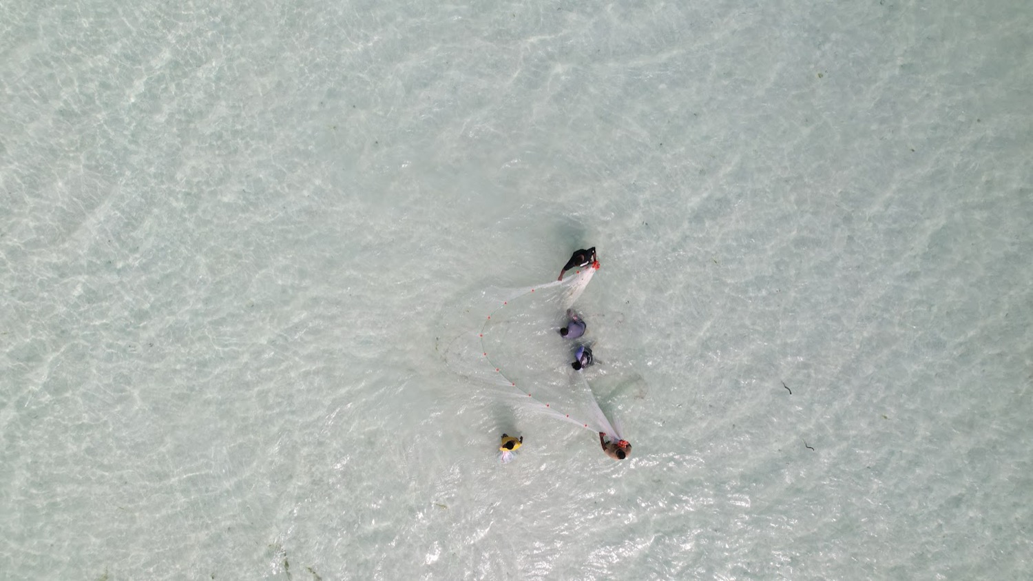 Aerial view of three fishermen casting a net in shallow crystal-clear turquoise water