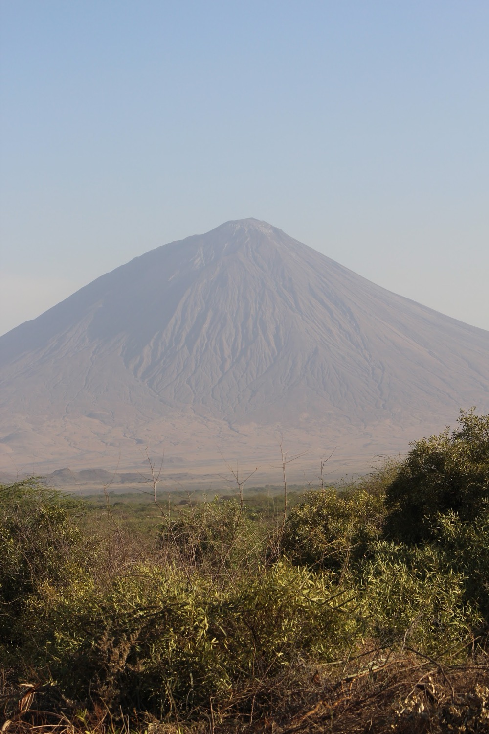 Imposing conical volcano rises above an arid plain with scrub bushes in the foreground