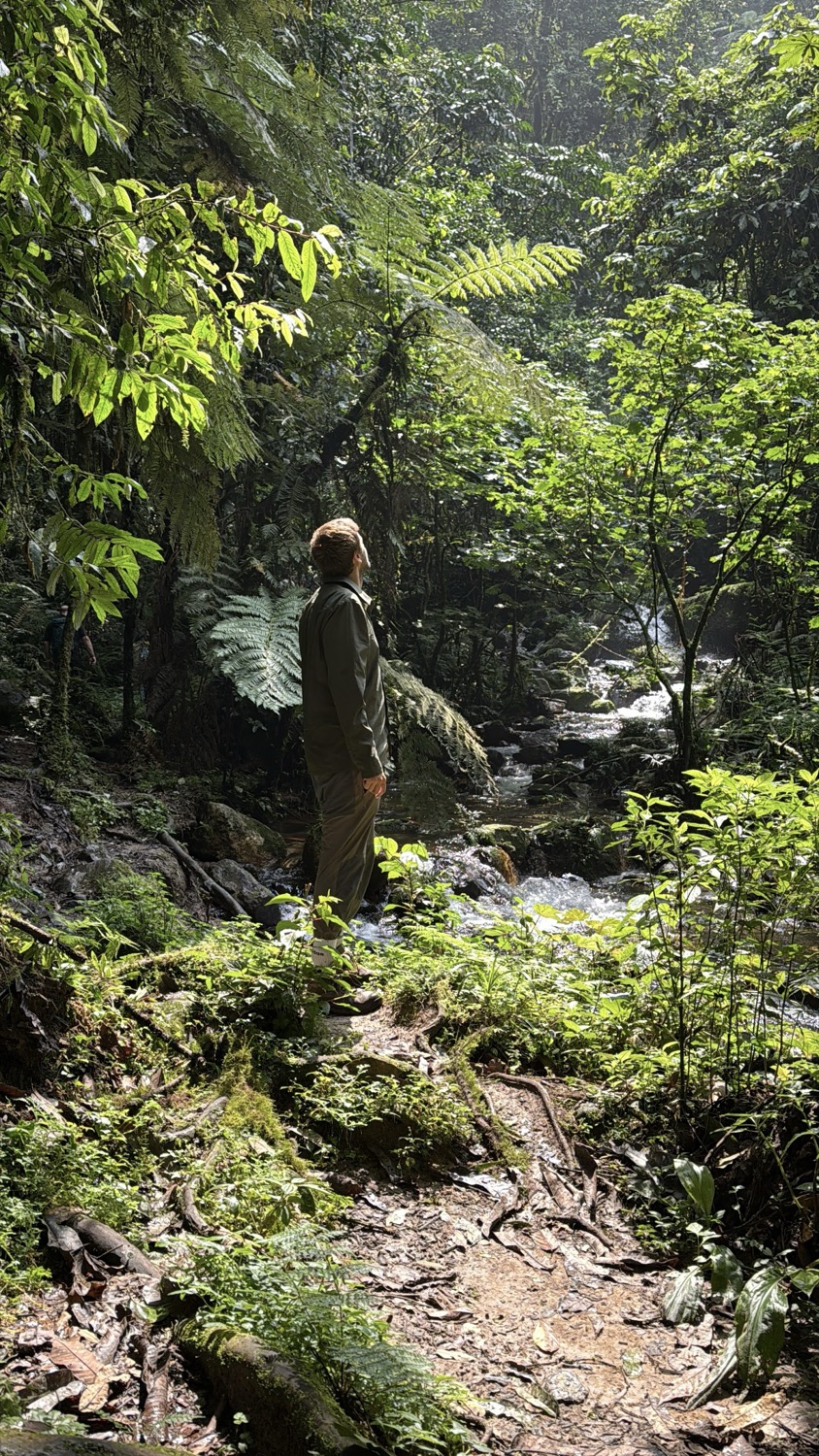 Hiker in olive clothing stands gazing at a rocky stream through dense rainforest canopy