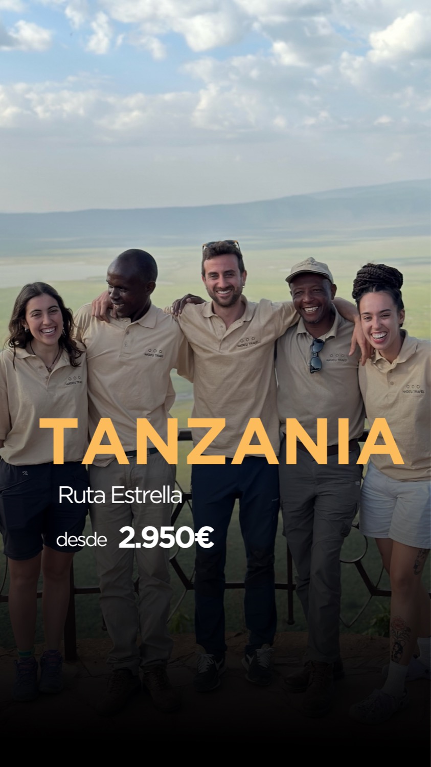 Cinc guies de safari amb uniformes beix posen somrients davant d'una vasta plana africana