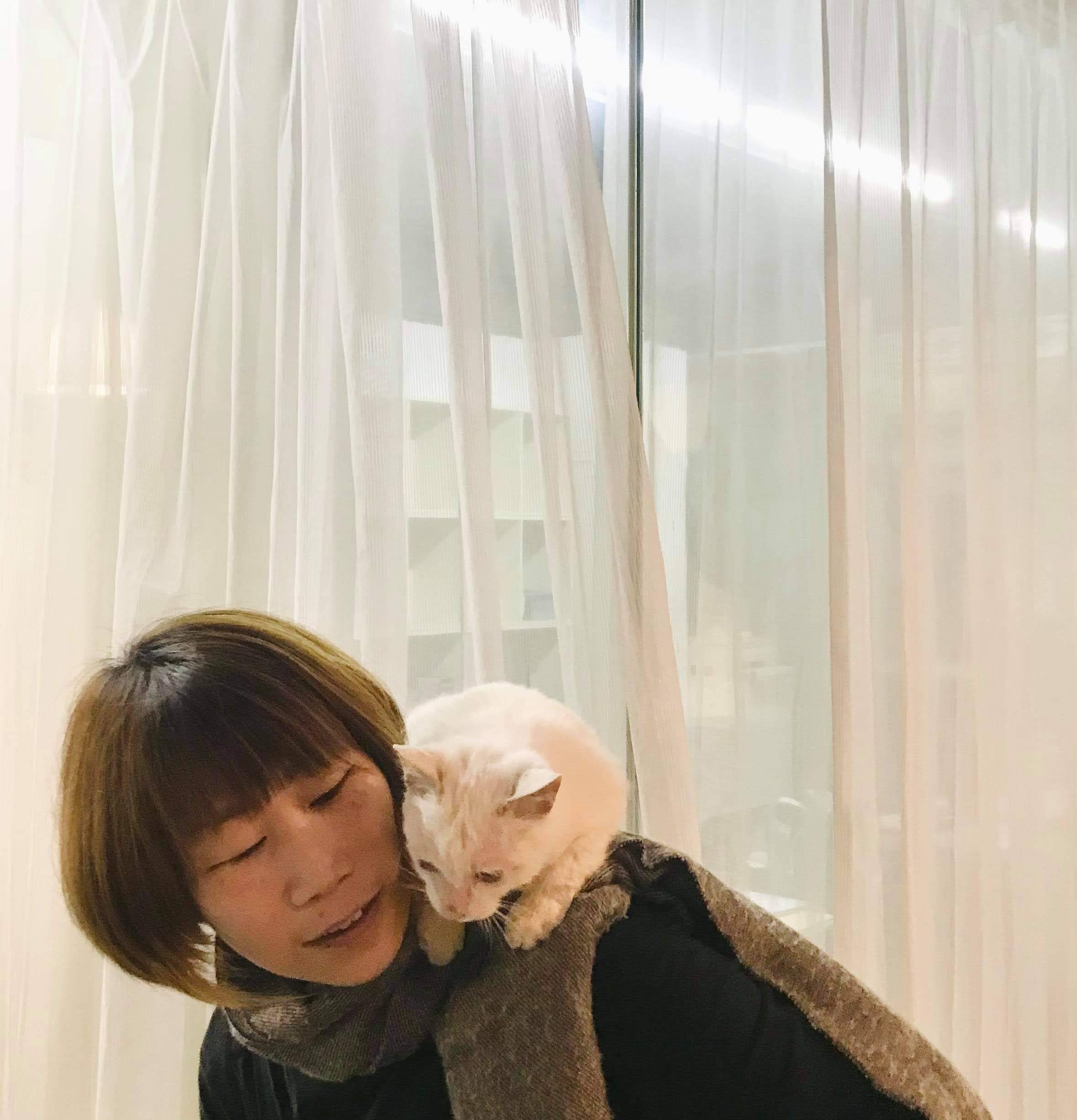 働く人の写真