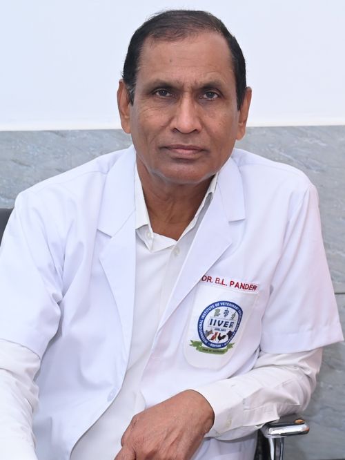 Dr. BL Pander