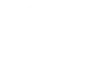 Exotic icon