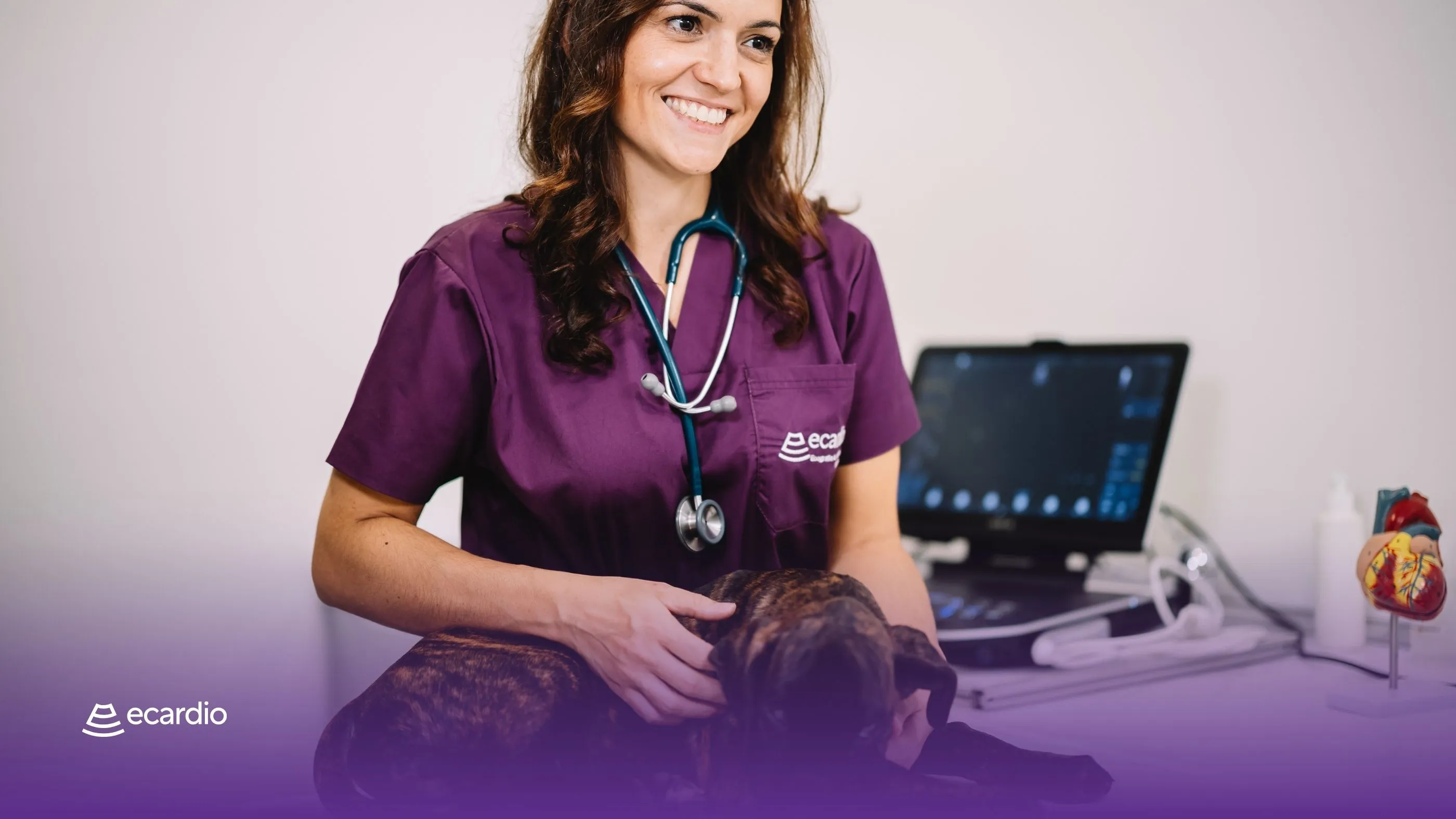 doenca degenerativa valvular mitral em caes