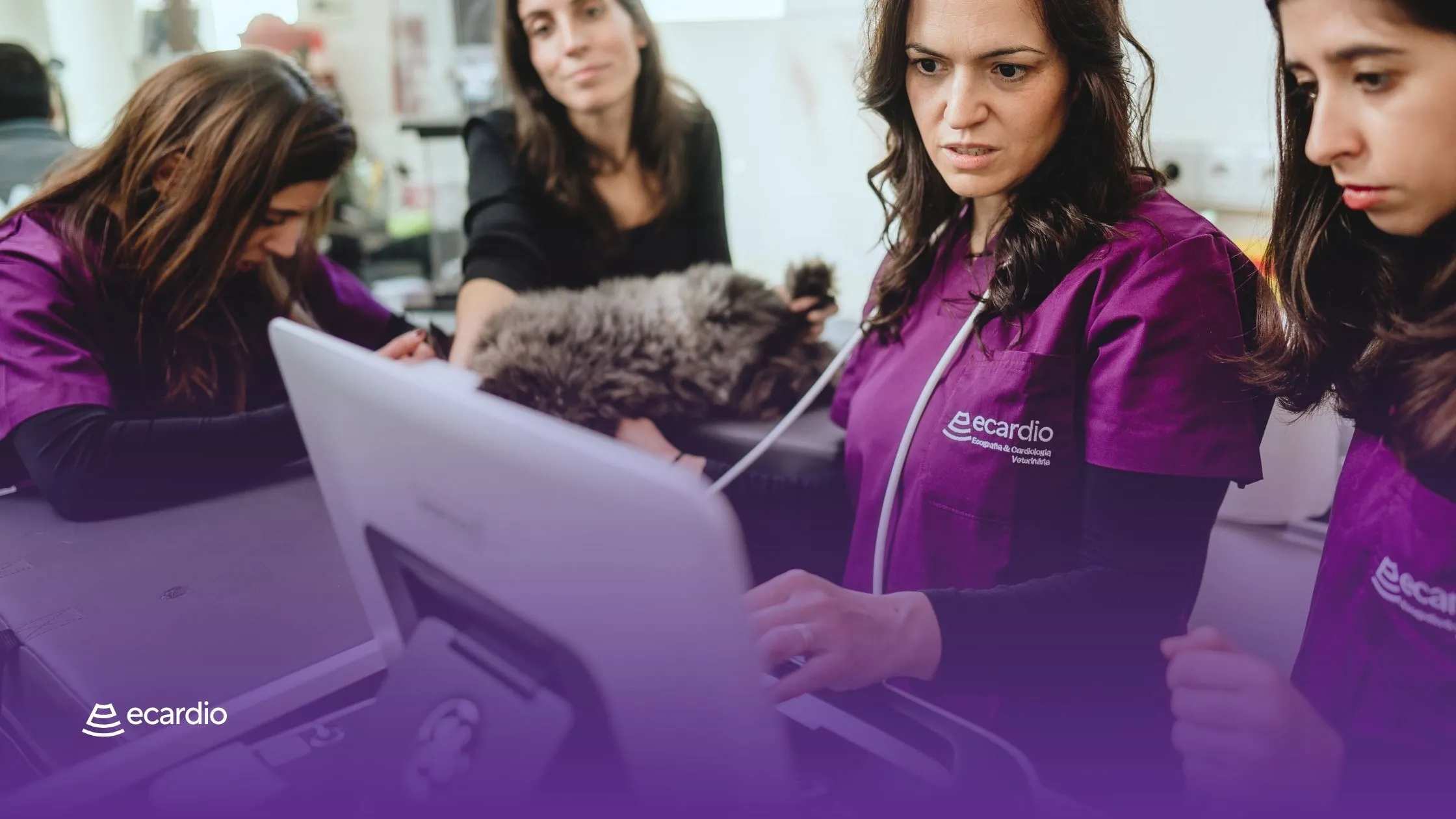 Anomalia de Ebstein em gato Bosque da Noruega: diagnóstico ecocardiográfico num paciente assintomático