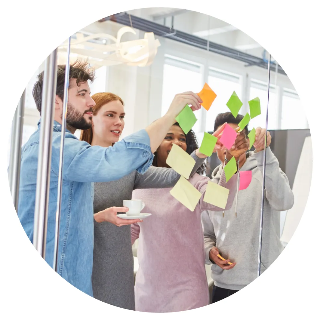 Directeur marketing de transition