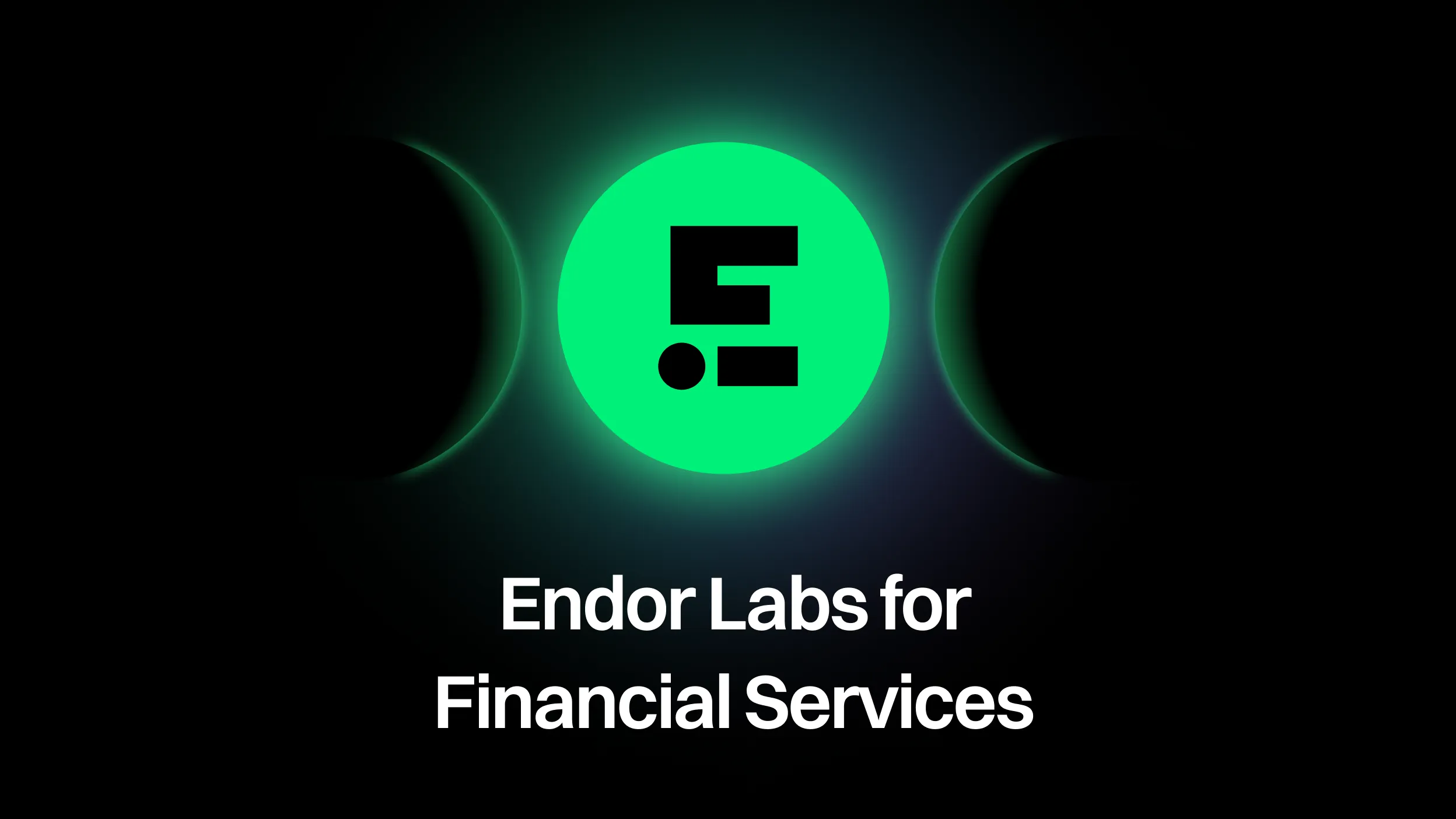 Endor Labs for Financial Services