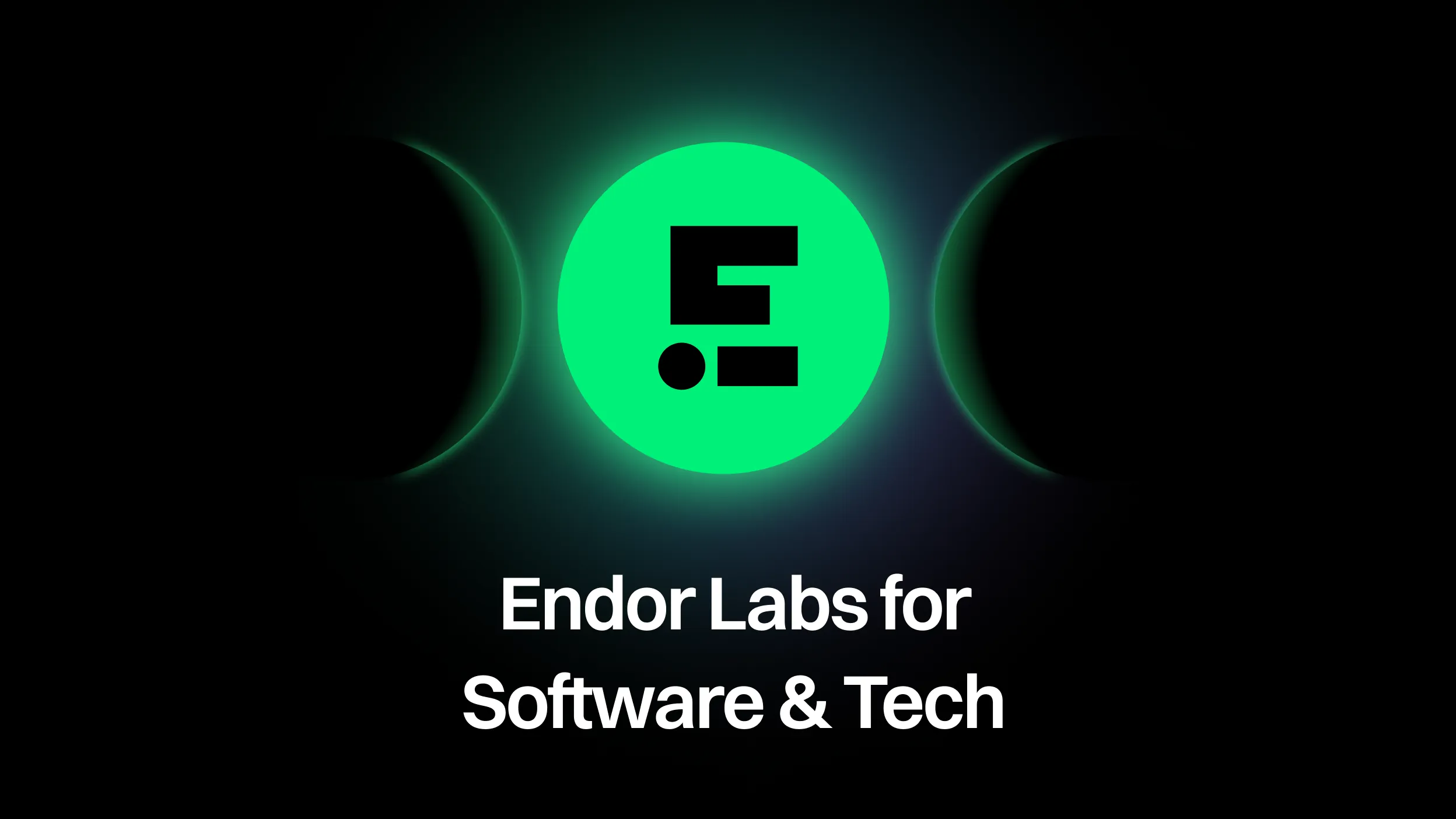 Endor Labs for Software & Tech