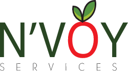 NVoy Logo