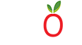 Nvoy logo