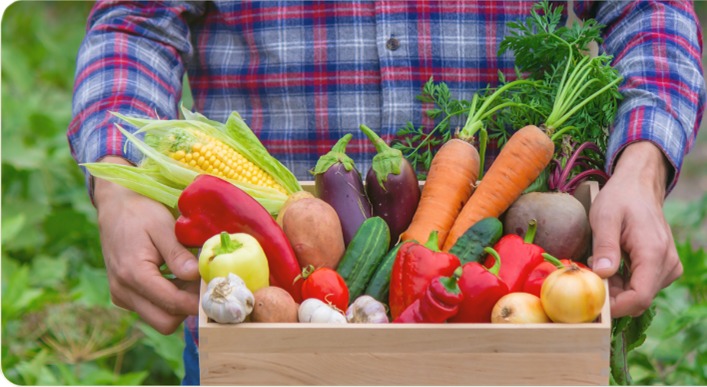 Farmer holding produce
