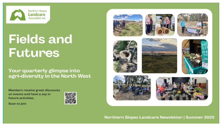 NSLA Fields and Futures - Summer 2025/26