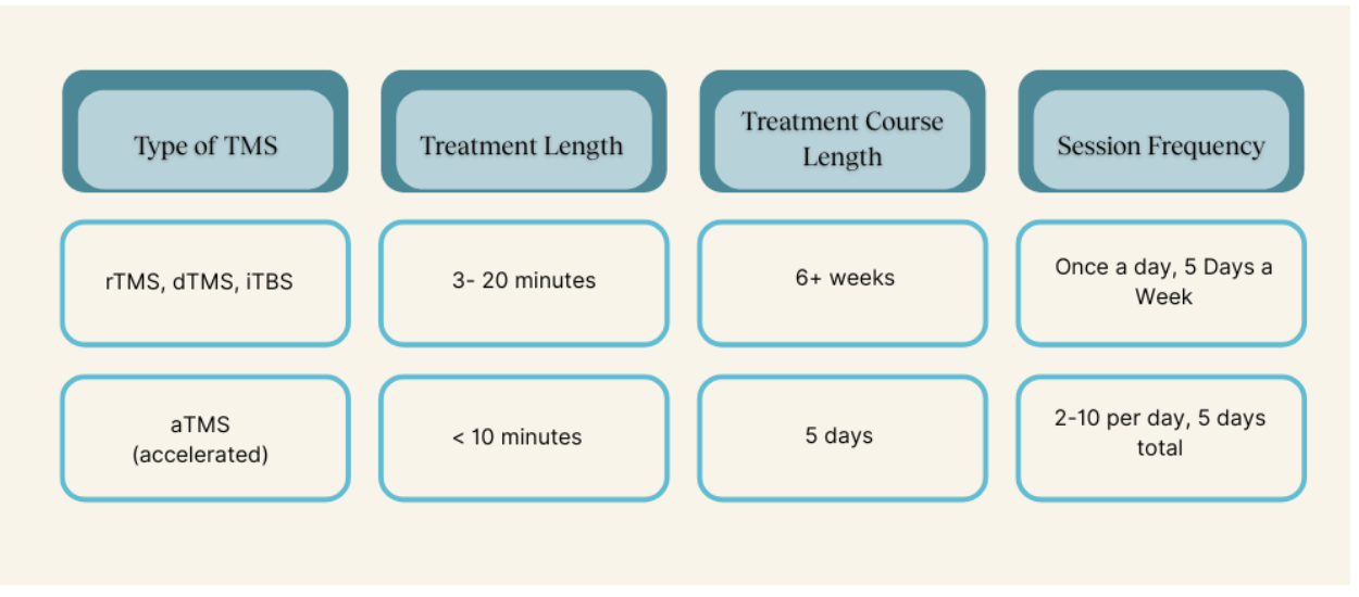 Accelerated TMS treatment schedule showing multiple sessions per day condensed into two weeks, compared with standard six-week protocol.