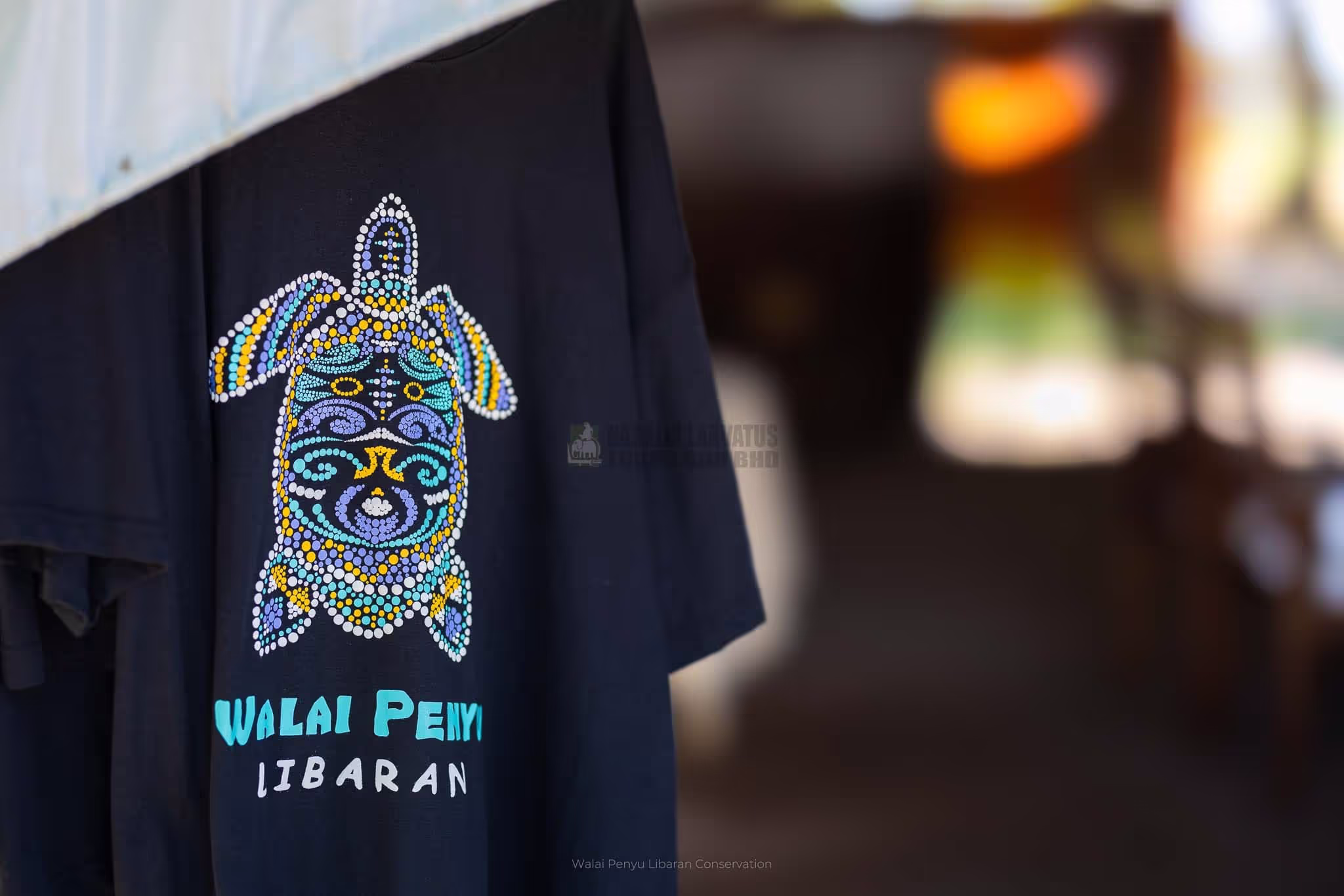 libaran island, turtle island, libaran turtle island, sandakan, turtle,borneo, sabah, borneo, clamping