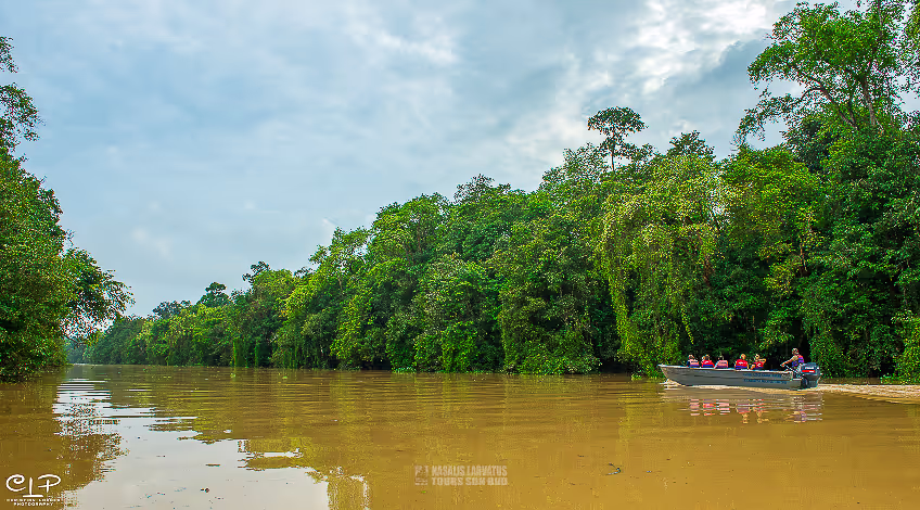 Kinabatangan River Riew