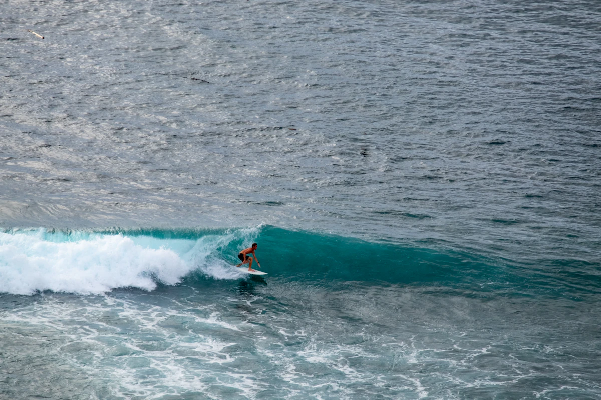 Surfer riding a left-hand reef wave in Bali