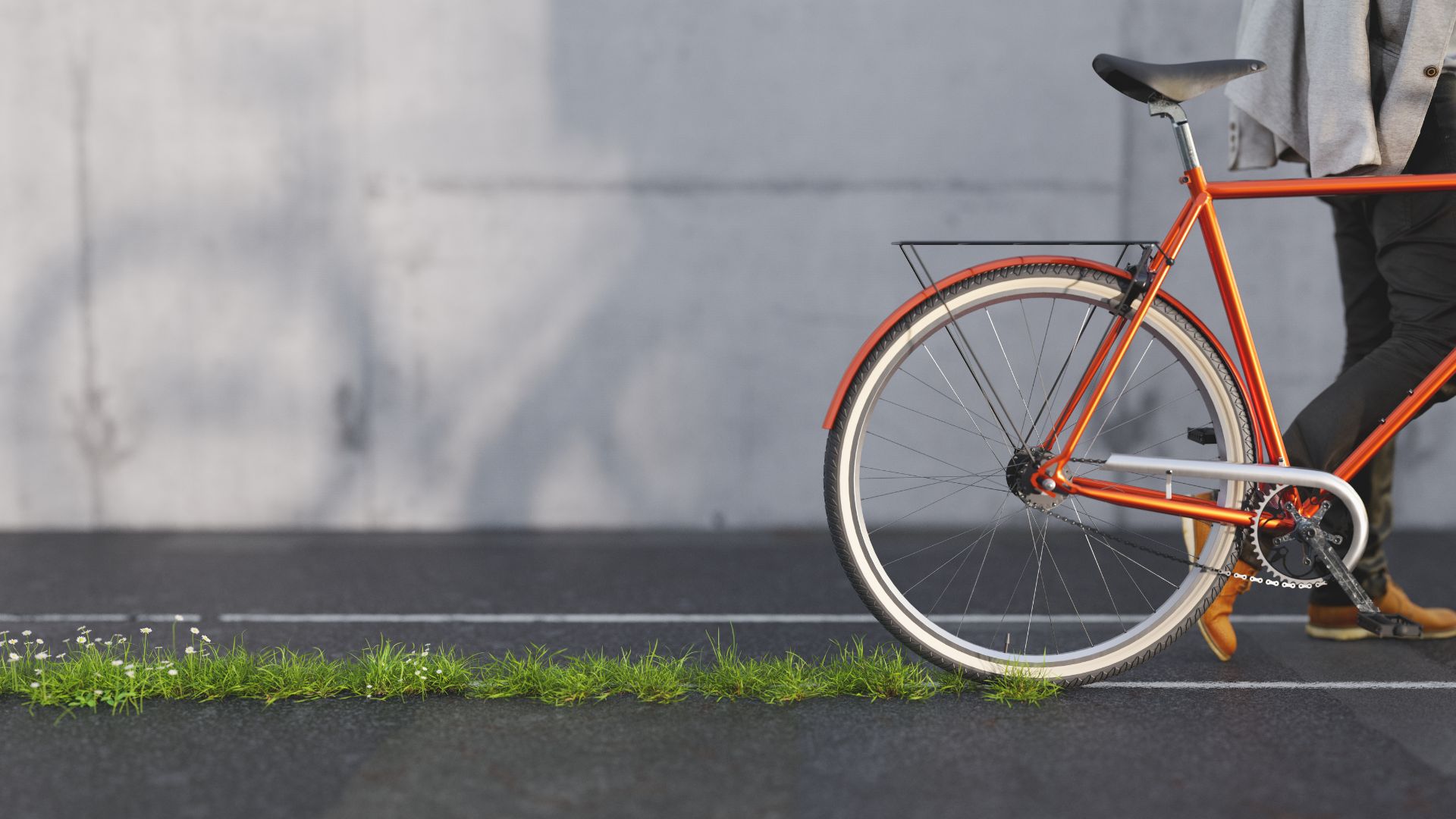 Cyclists and walkers commuting