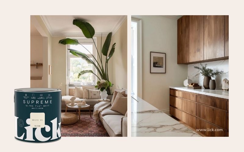 Lick Paint Branding Beispiel