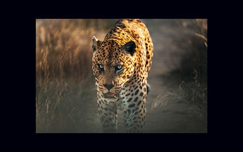 Namibia Trip – Visual Impressions and Creative Inspiration