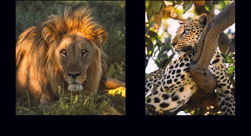 Inspiration and a fresh perspective – Remote work in Namibia