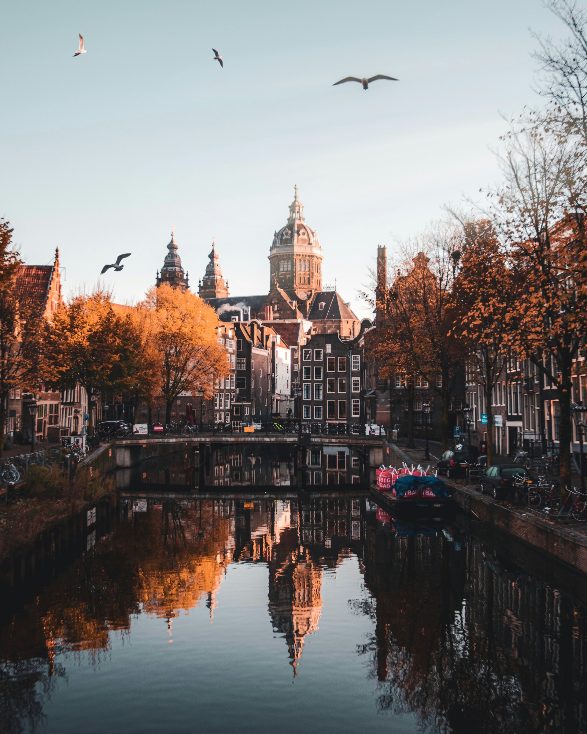 Unlocking the Dutch Market: Insights from a Local Sales Agent