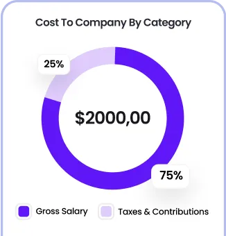 reporting and analytics software offered by playroll