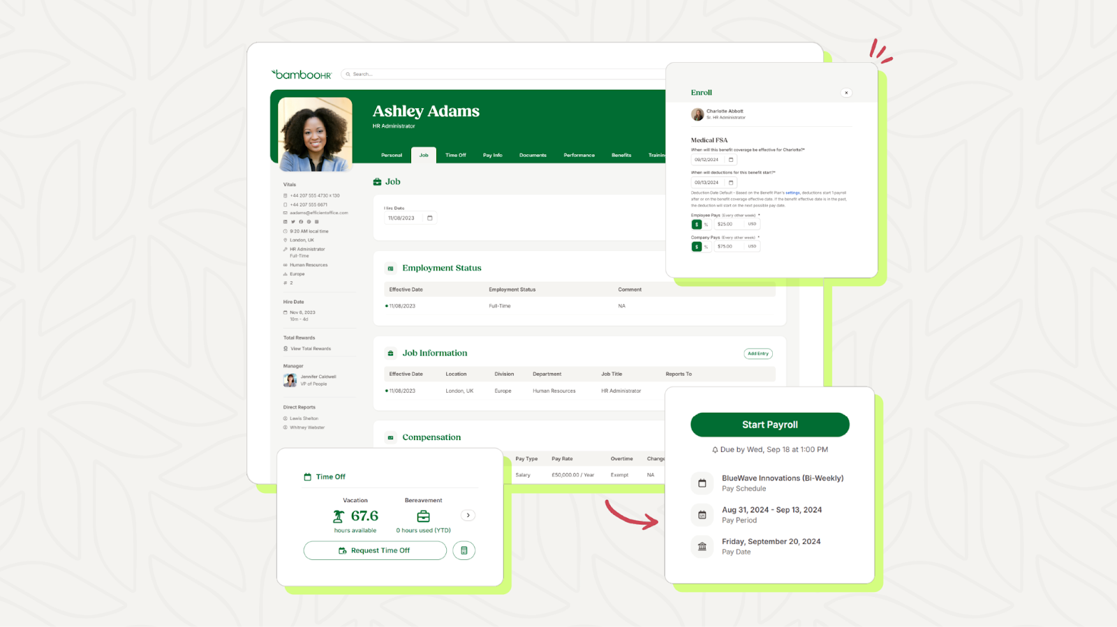 Graphic showing Bamboo HR's dashboard