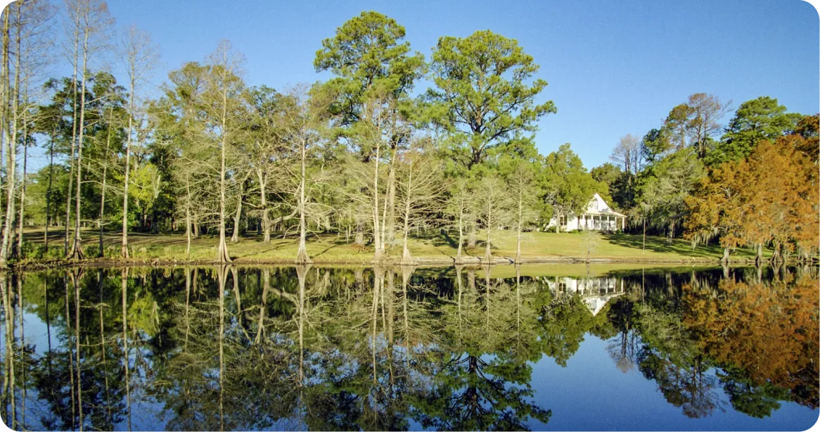Famous Photo Of Louisiana Landmark