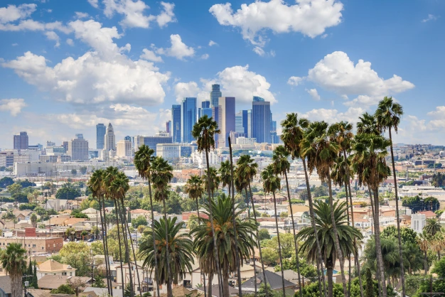 Iconic Image Of California