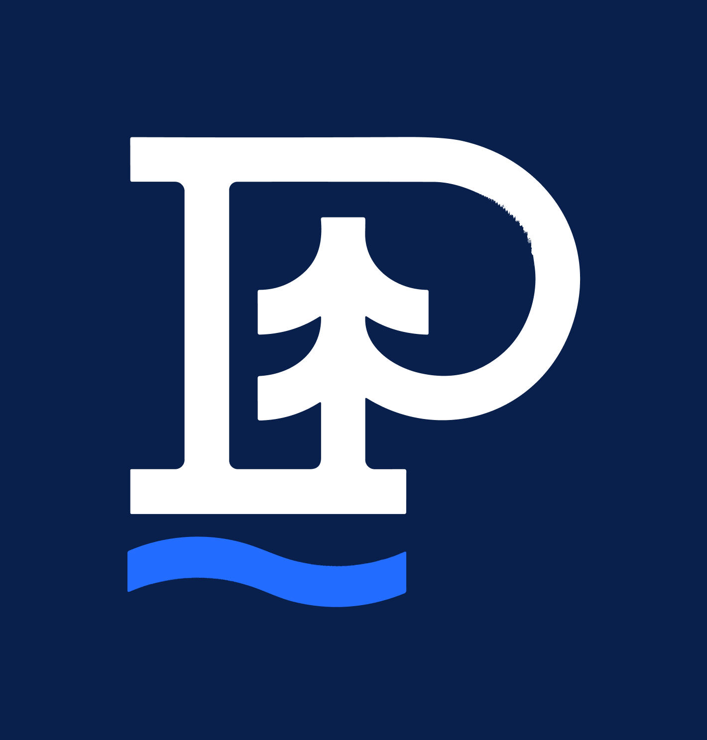 Company Logo - Pinnacle Pool and More
