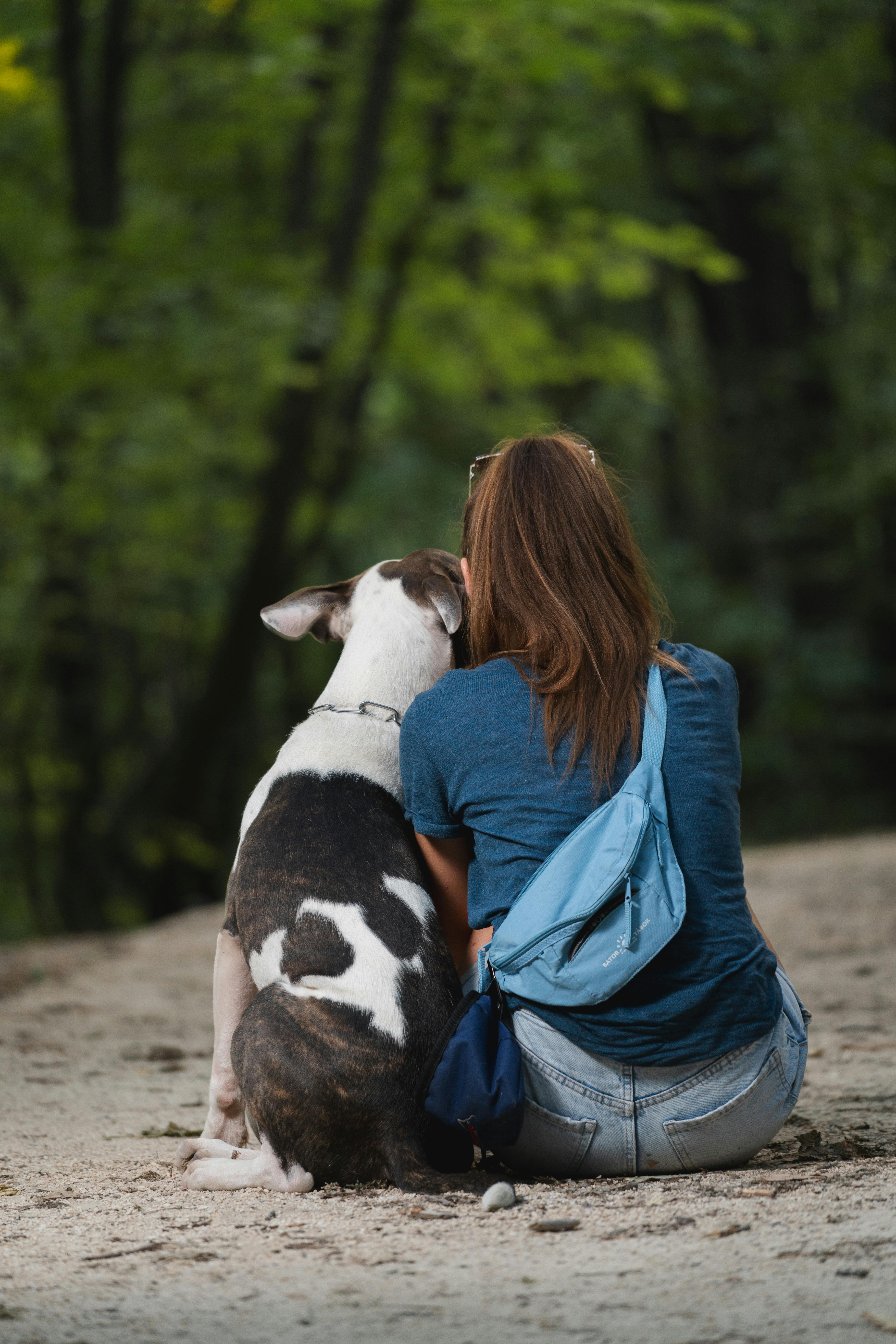Dog Days Delight: Magic in Every Wag