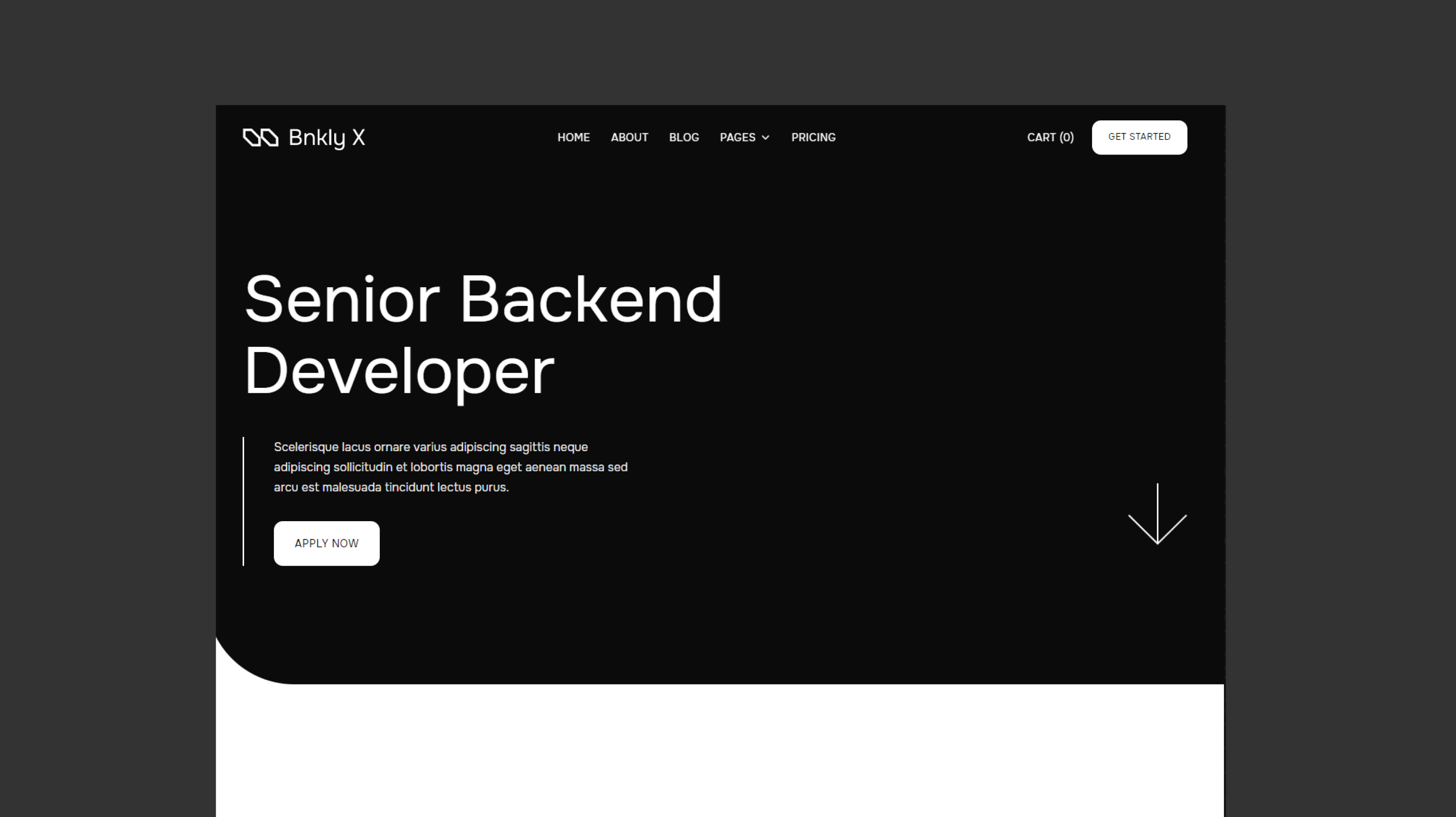 UI/UX and web design for Bnkly X