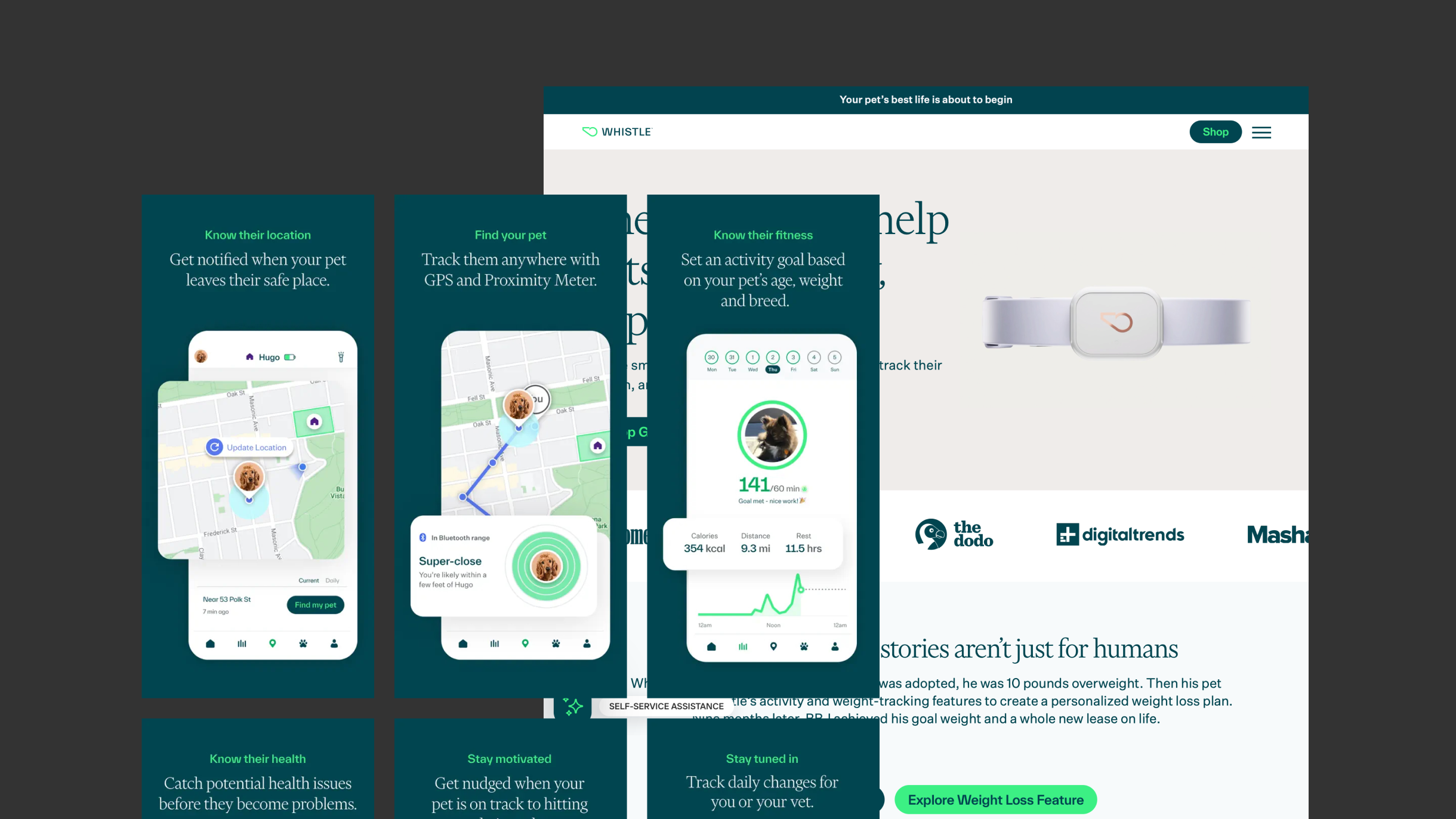 Whistle GPS Pet Tracker & Activity Monitor App Enhancement