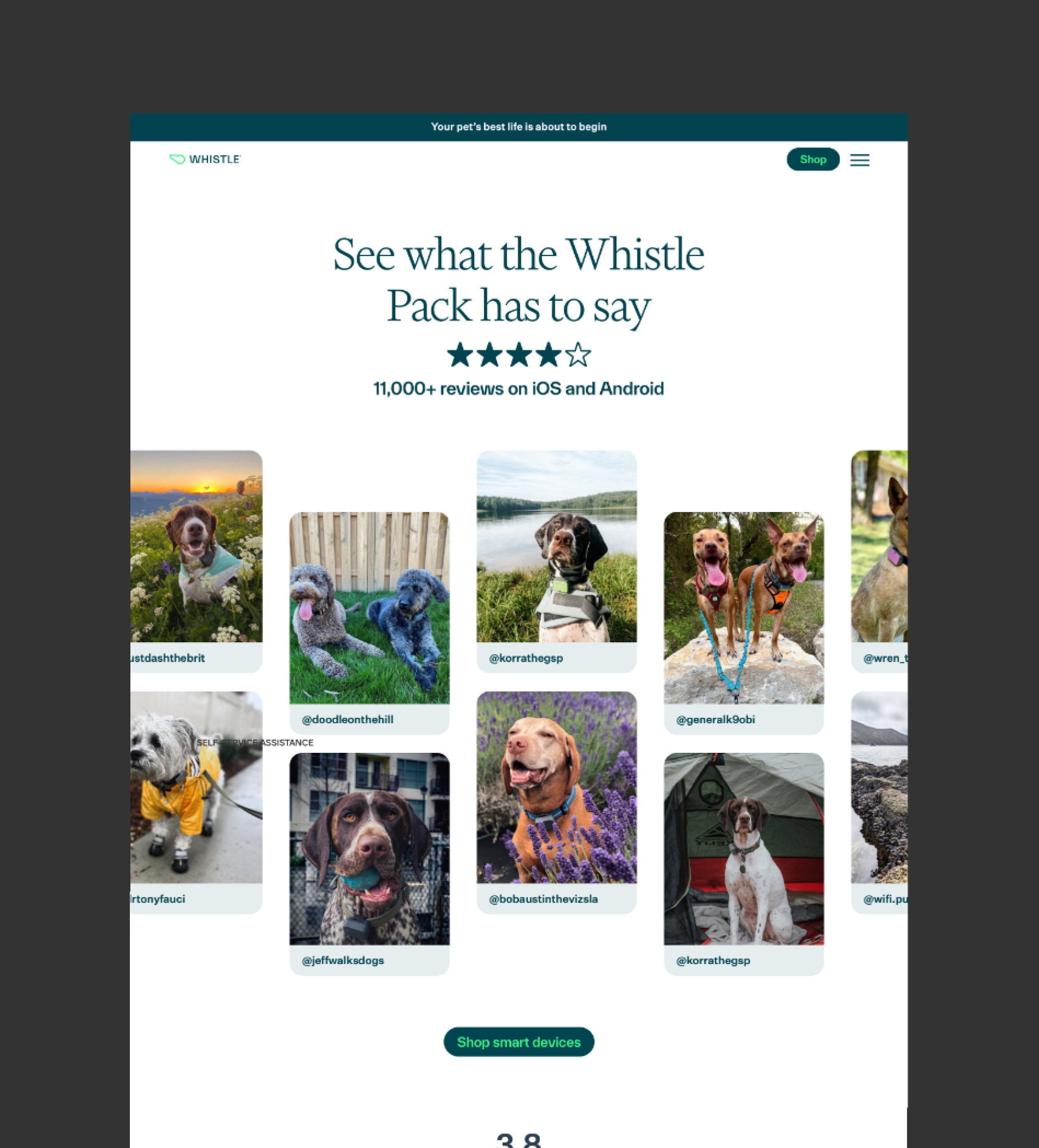 Whistle GPS Pet Tracker & Activity Monitor App Enhancement