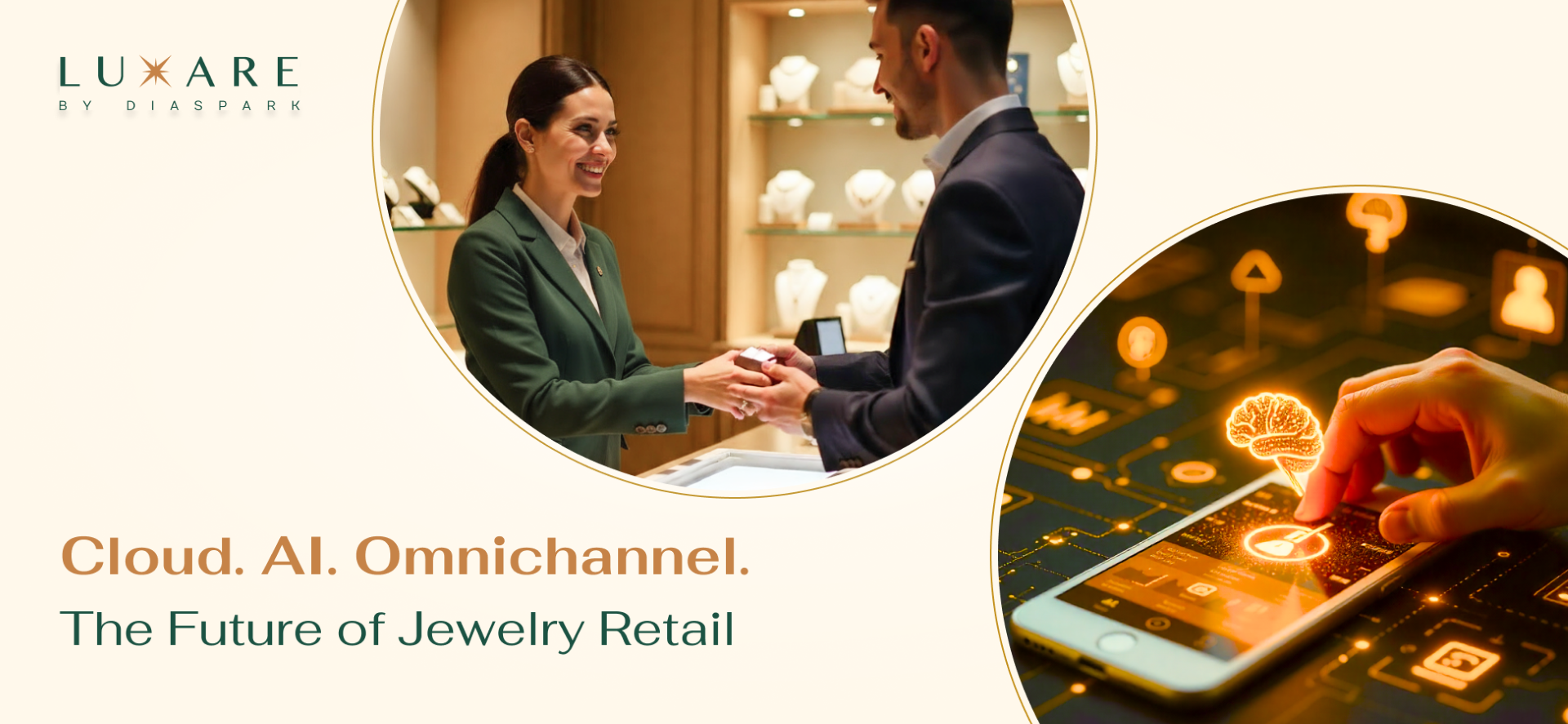 Jewelry Store POS & ERP: Luxare by Diaspark