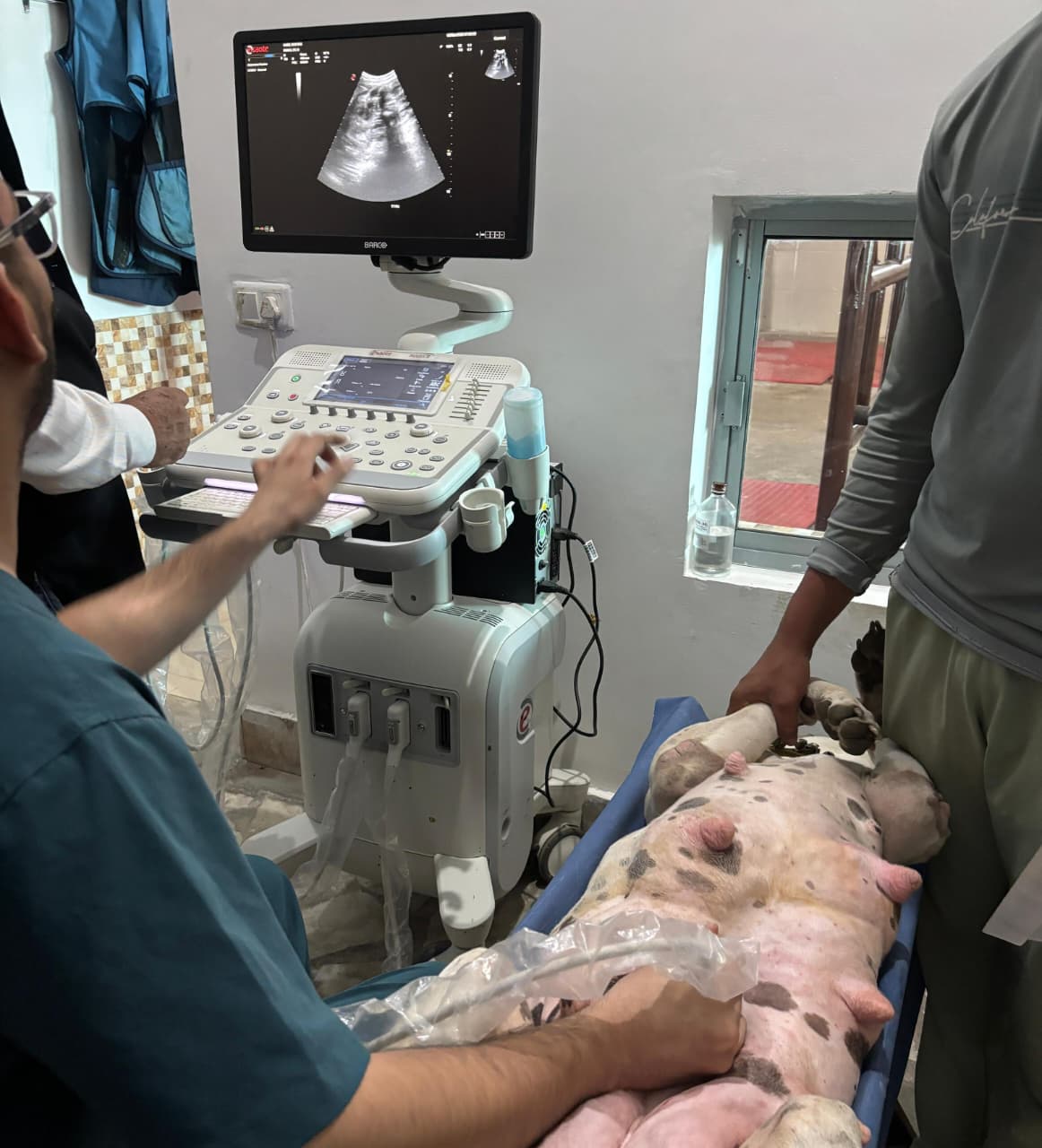 MyLab™X7 VET USG Image