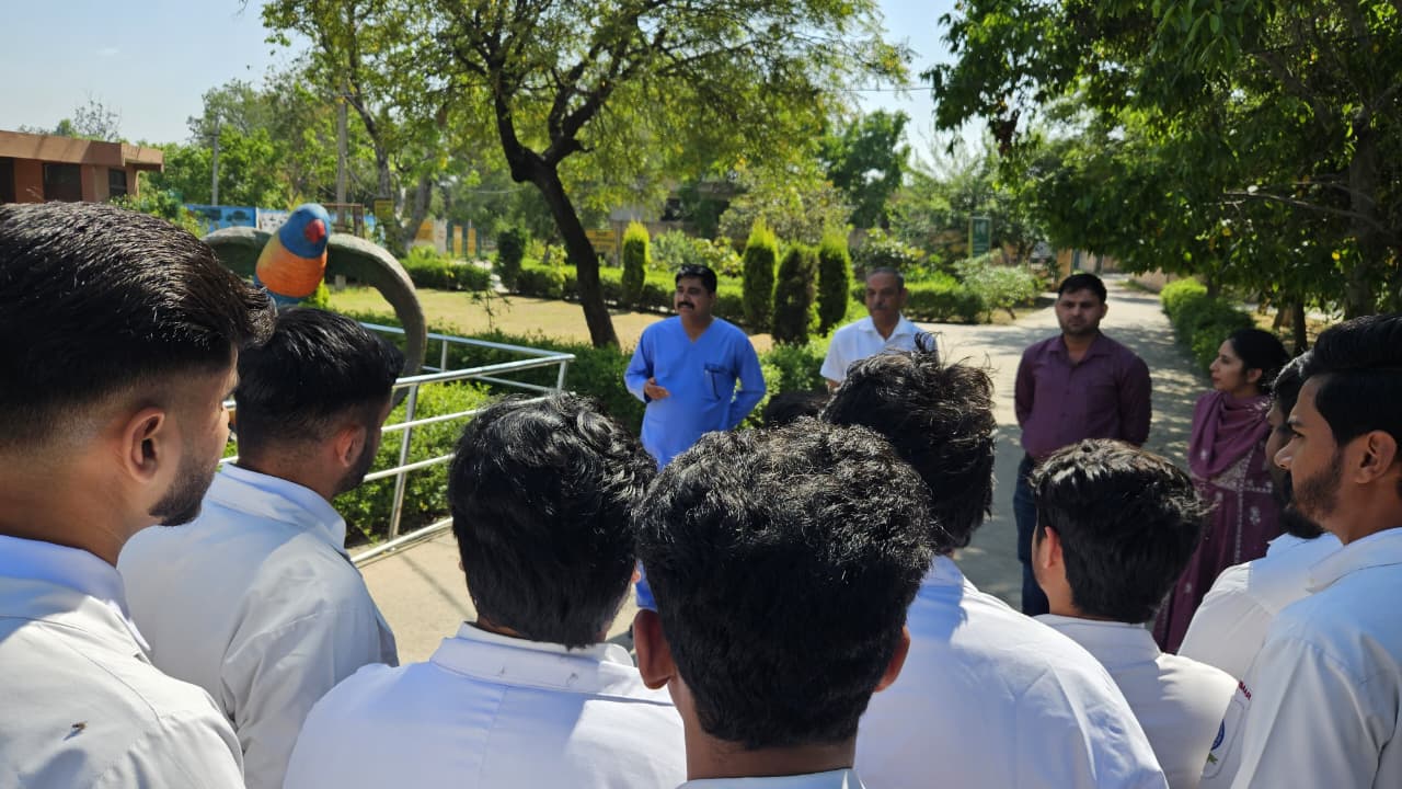 IIVER Students Zoo Image