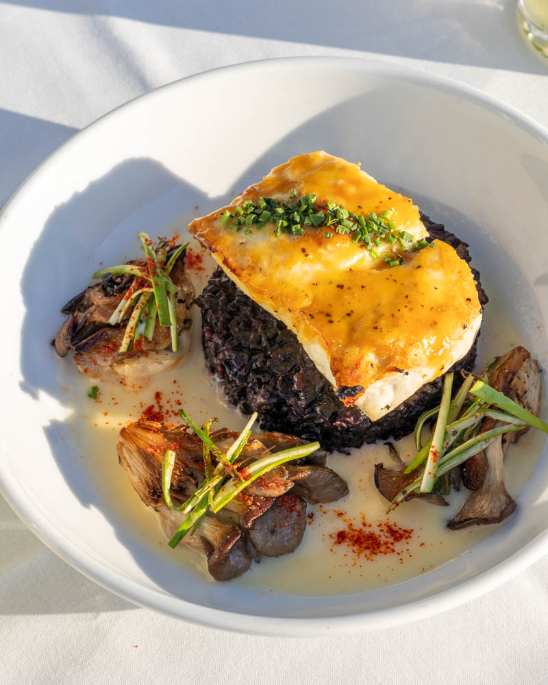 Miso Roasted Halibut