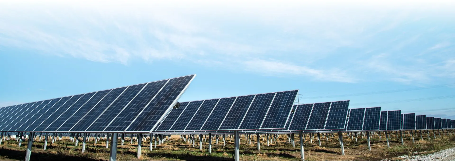 solar panels pointed up at sky