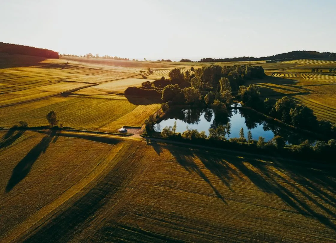 farmland at sunrise