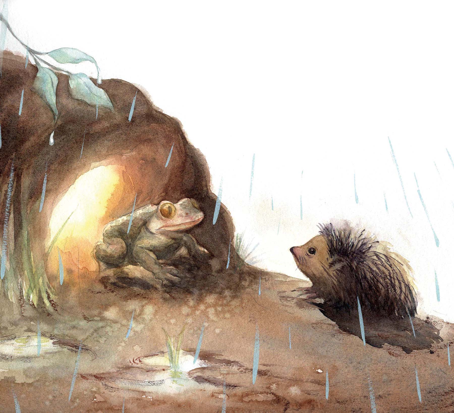 Watercolor illustration of a frog inside a small illuminated burrow and a hedgehog covered in rain outside on muddy ground.