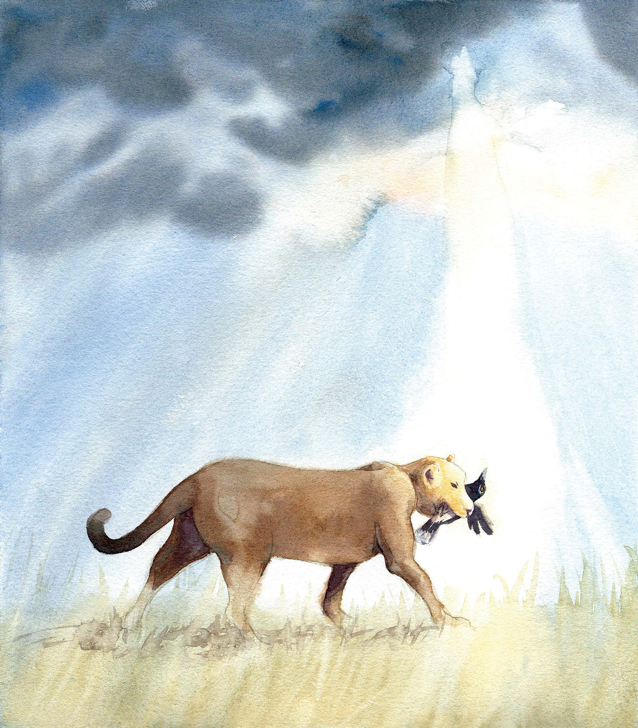 Watercolor painting of a brown feline animal walking in grass with a black and white bird in its mouth under a cloudy sky with a bright light beam.