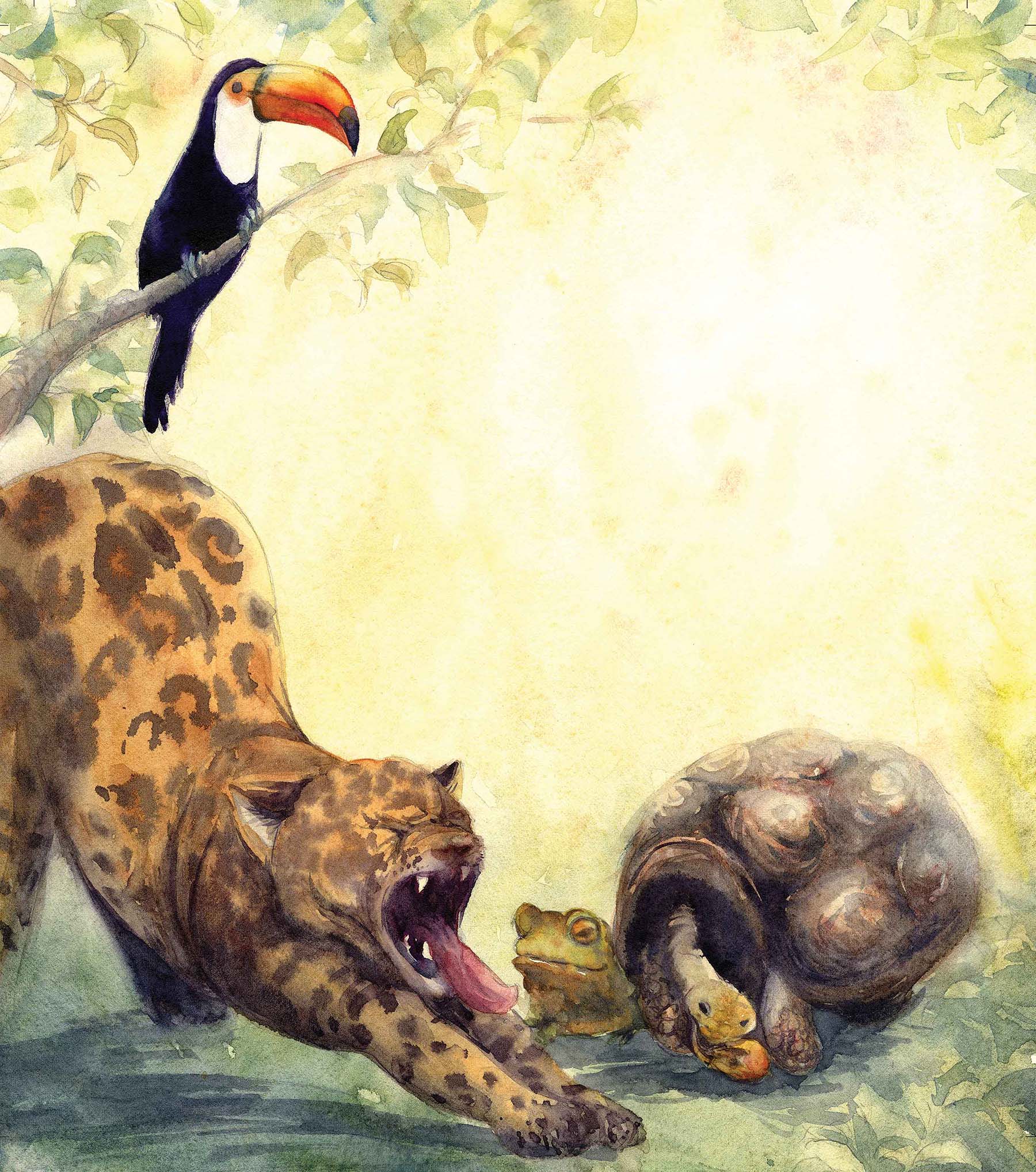 Watercolor painting of a toucan perched on a tree branch, a yawning leopard stretching, a frog, and a tortoise on a shaded forest floor.