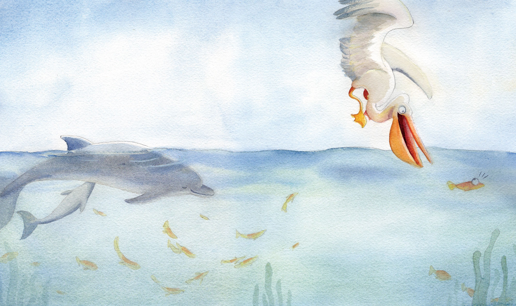 Watercolor illustration of two dolphins swimming underwater and a pelican diving toward a startled fish near the ocean surface.