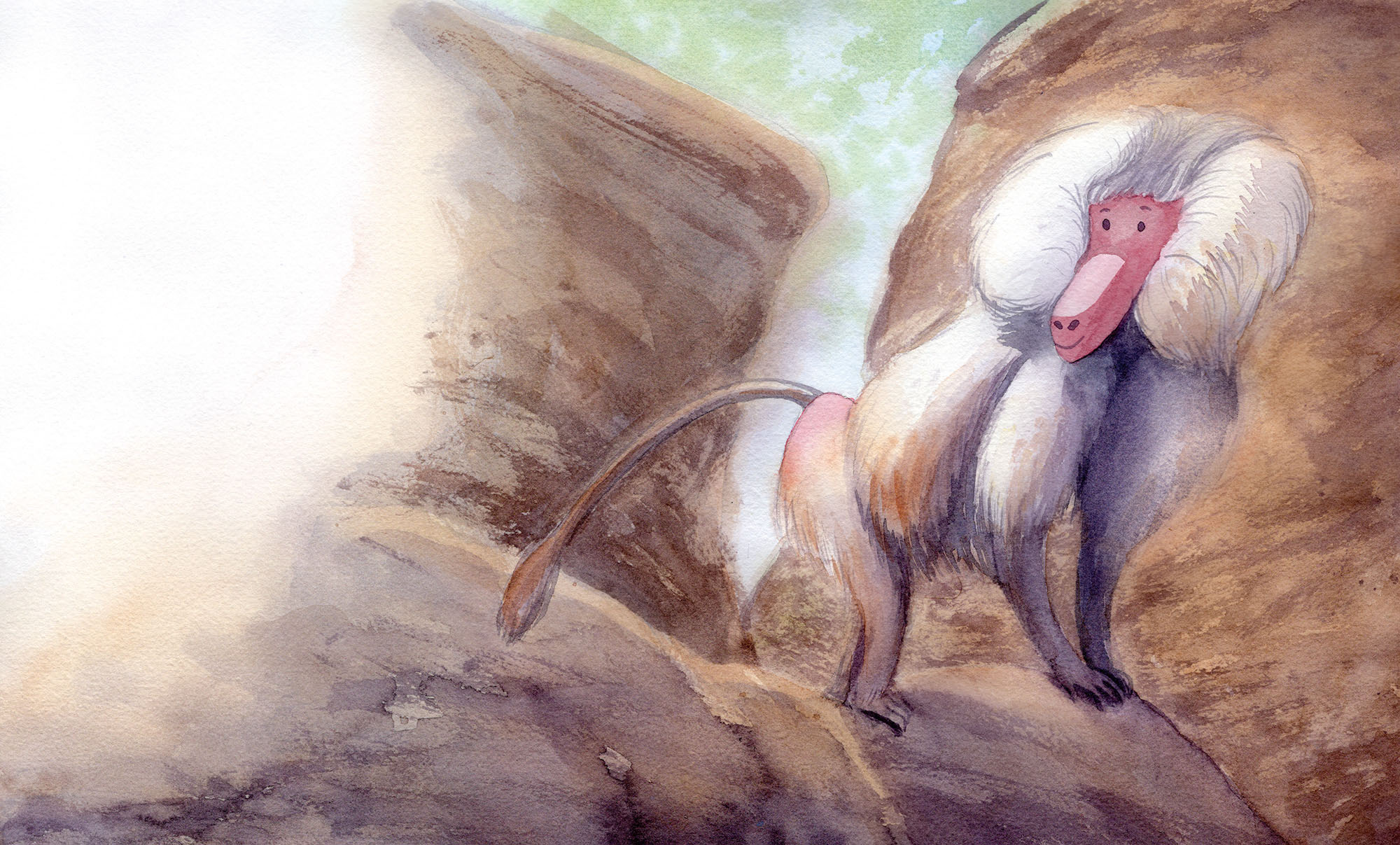 Watercolor painting of a baboon standing on rocky terrain with light green sky background.