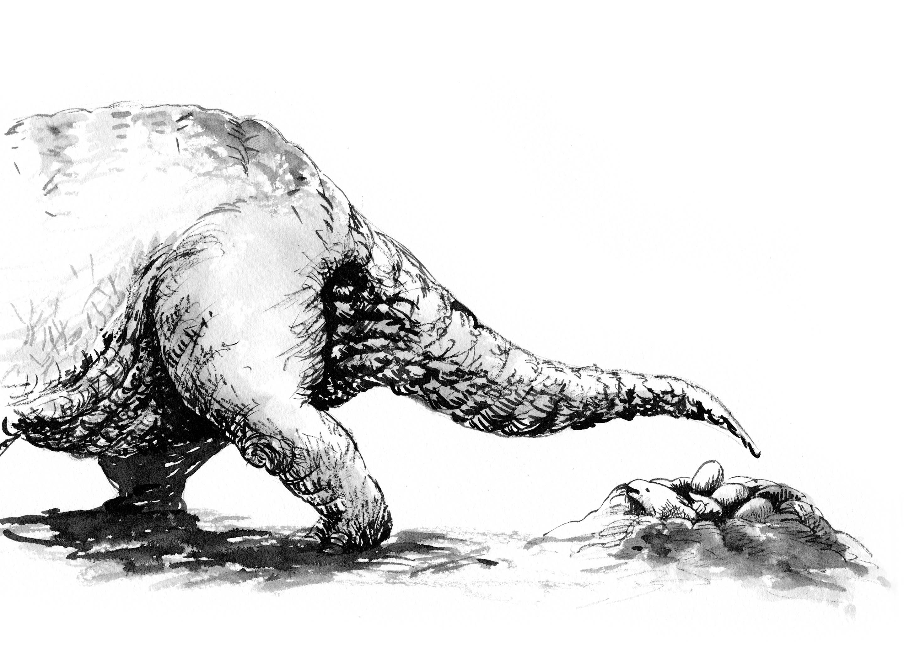 Black and white ink illustration of half of dinosaur leaving the scene to the left, while a baby dinosaur in a dinosaur nest with eggs.